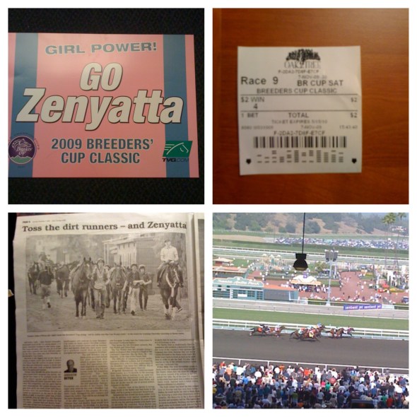 Zenyatta - Breeder Cup Classic