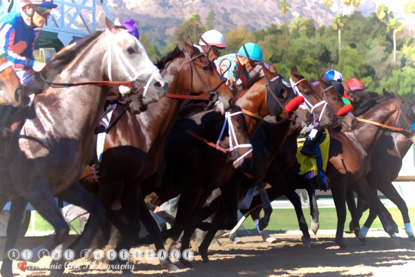 horse racing